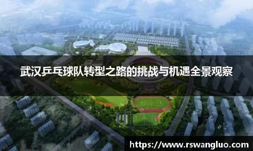 武汉乒乓球队转型之路的挑战与机遇全景观察